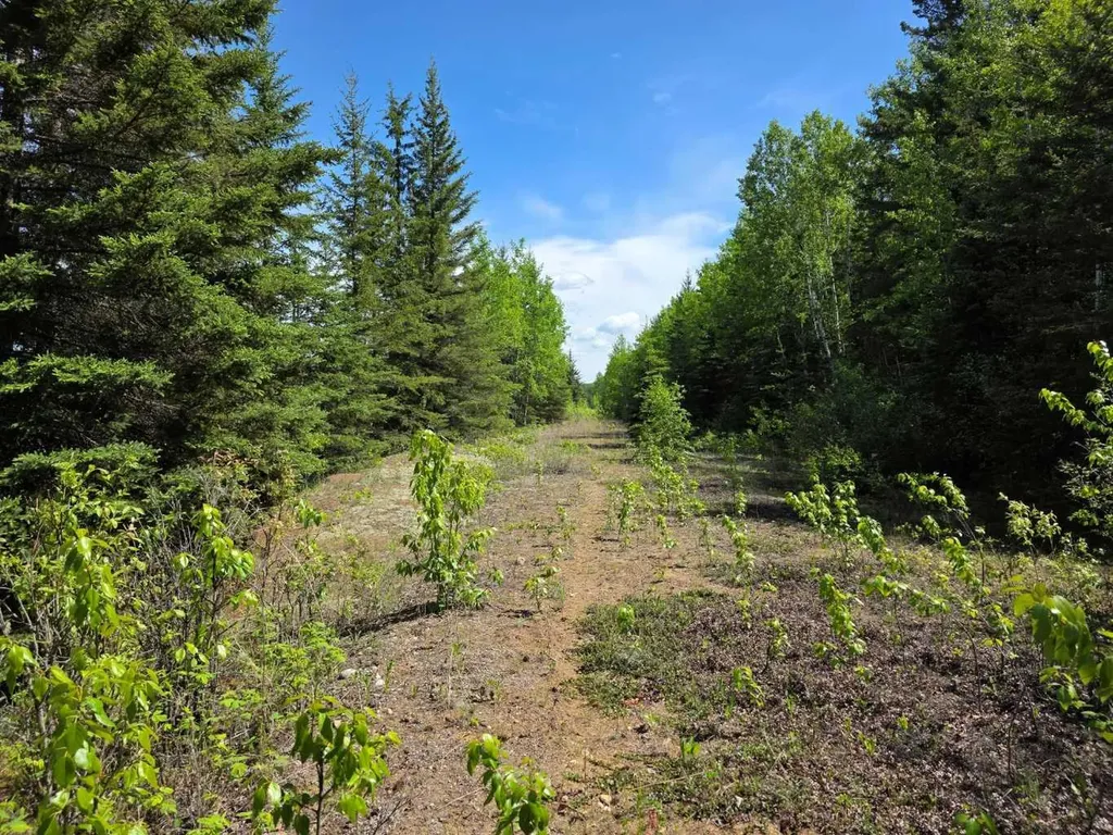 631026 Range Road 232.3 Road Rural Athabasca County AB T0G 1T0