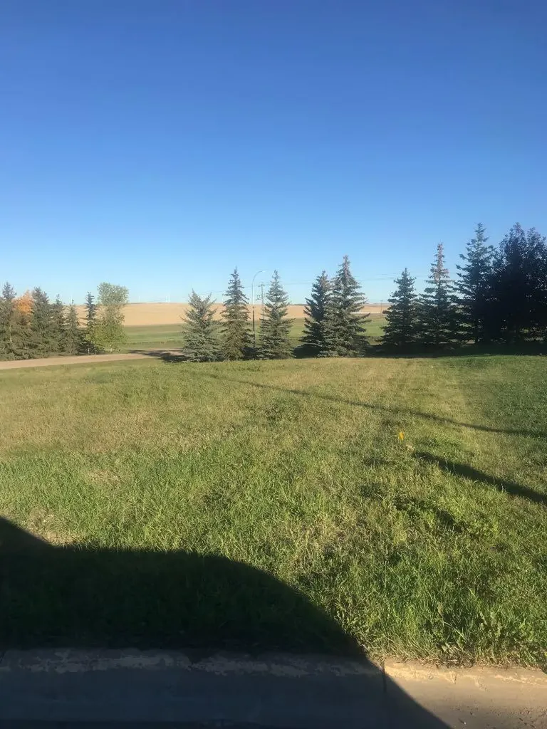 8 Regency Trochu AB T0M2C0
