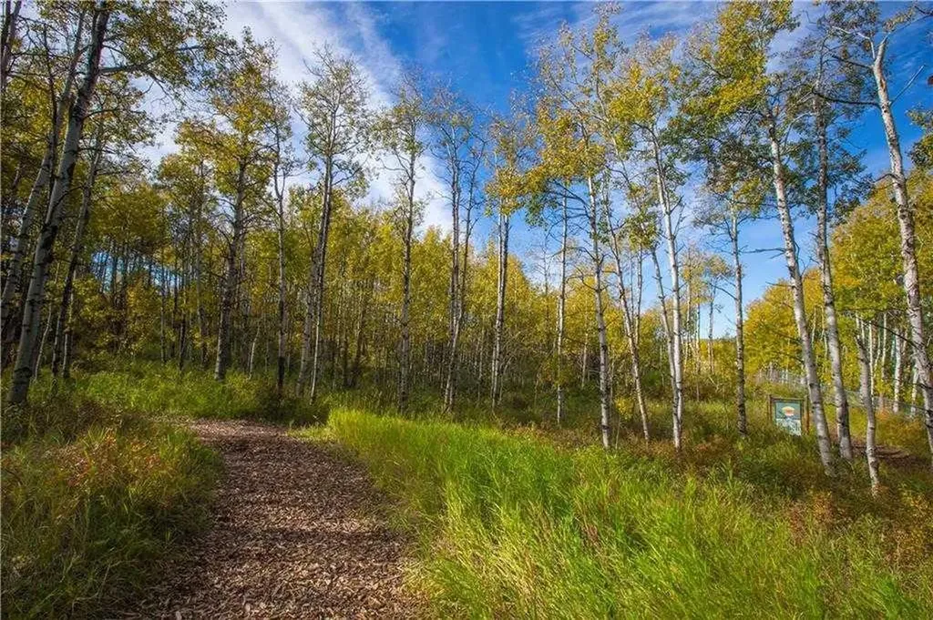 301 Cottageclub Green Rural Rocky View County AB T4C 1B1