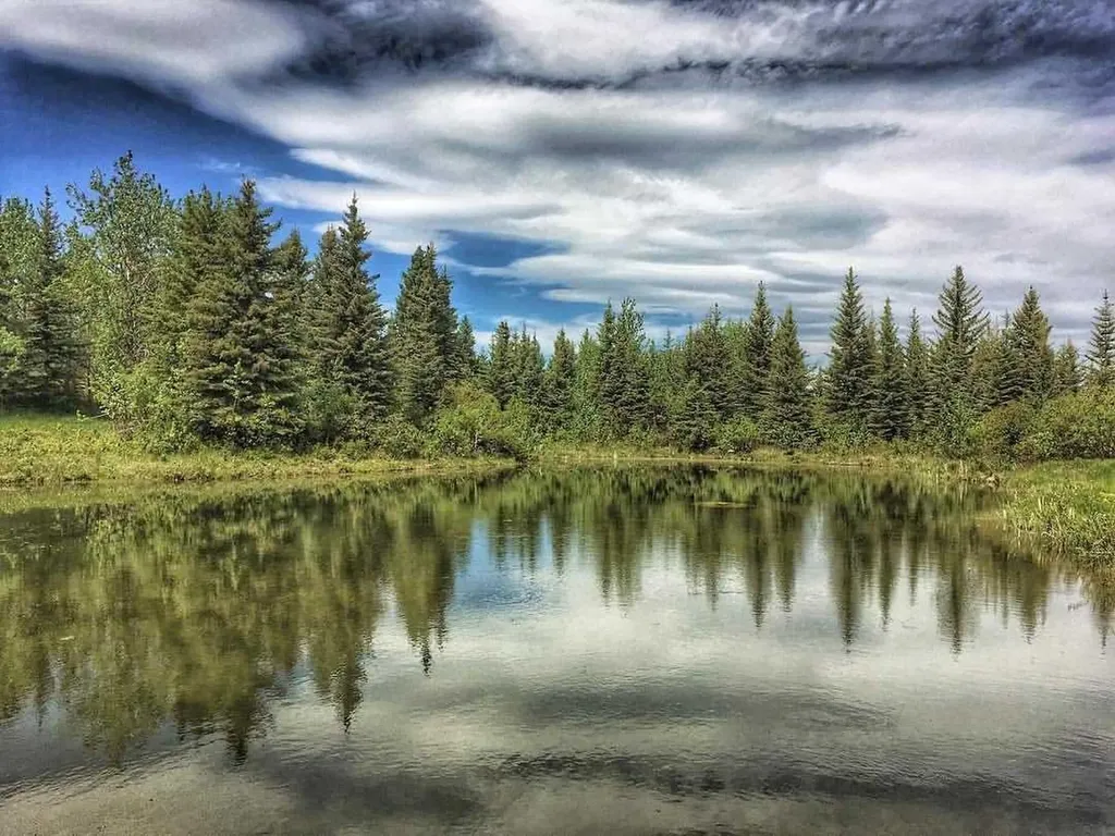 251234 Sibbald Creek Trail Rural Rocky View County AB T3Z 2B4