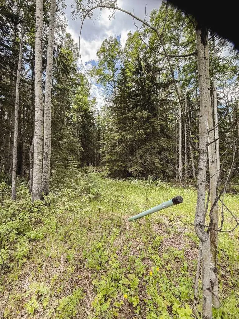 10504 794 Township Rural Saddle Hills County AB T0H 3G0