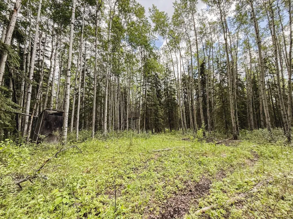 10504 794 Township Rural Saddle Hills County AB T0H 3G0