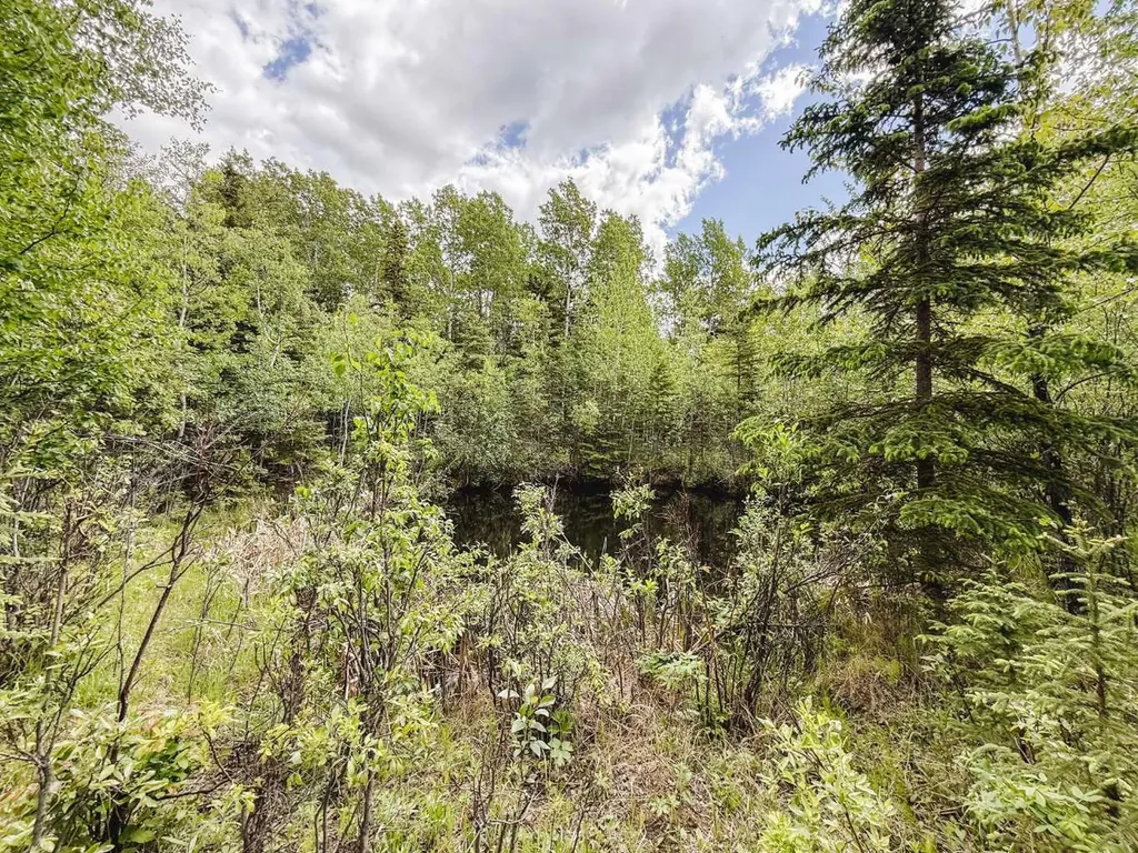 10504 794 Township Rural Saddle Hills County AB T0H 3G0