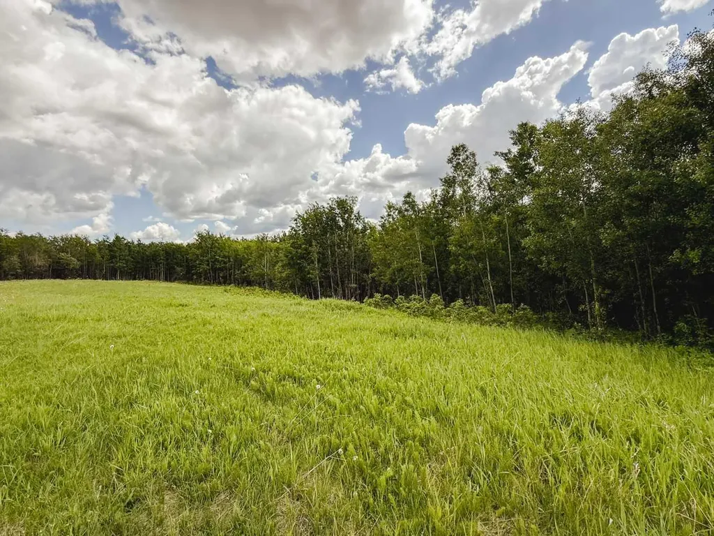 10504 794 Township Rural Saddle Hills County AB T0H 3G0