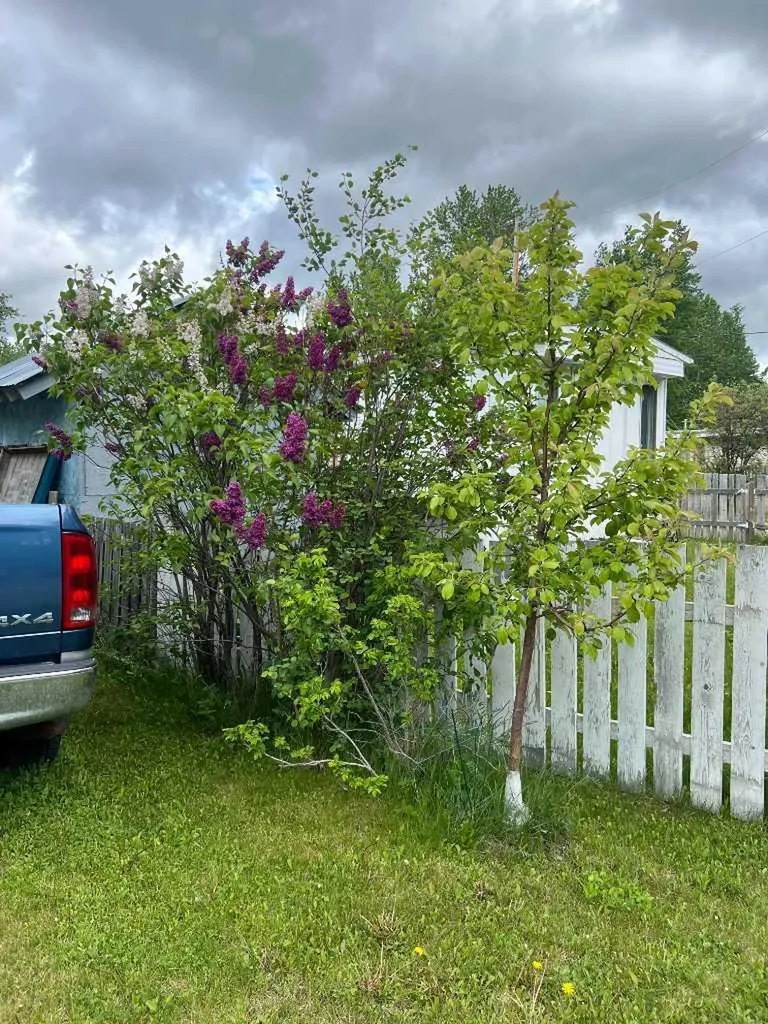 53209 Range Road 183 Rural Yellowhead County AB T7E 3B2