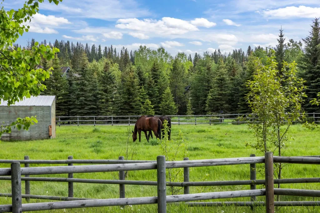 162052 Priddis Valley Road W Rural Foothills County AB T0L 1W2