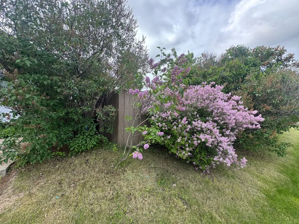 4203 106 Avenue Edmonton AB T6A 1E1