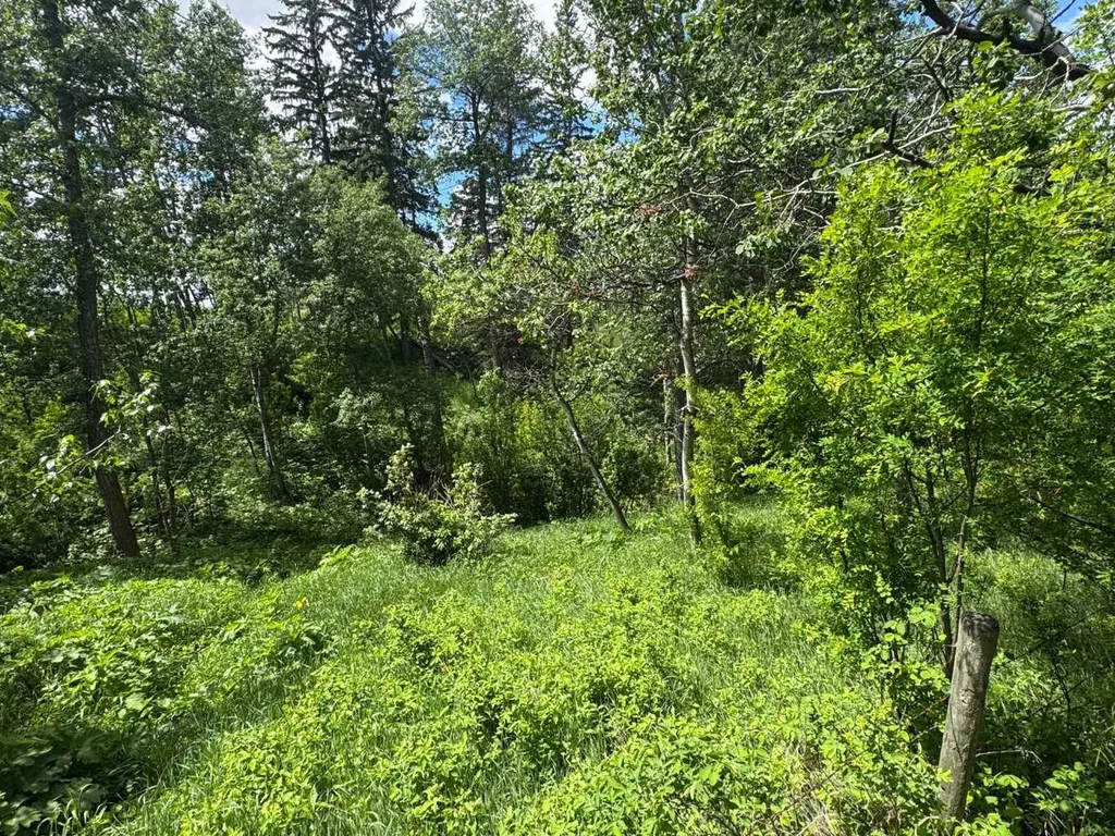 2054 Township Road 342 Township Rural Red Deer County AB T0M0K0