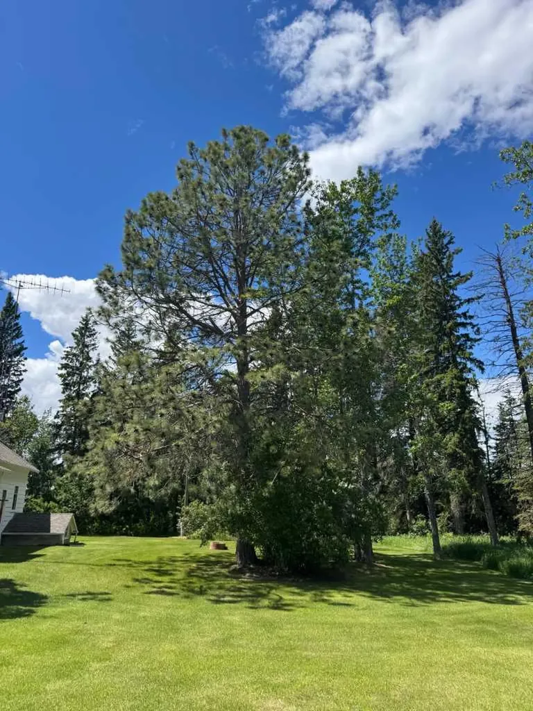 2054 Township Road 342 Township Rural Red Deer County AB T0M0K0