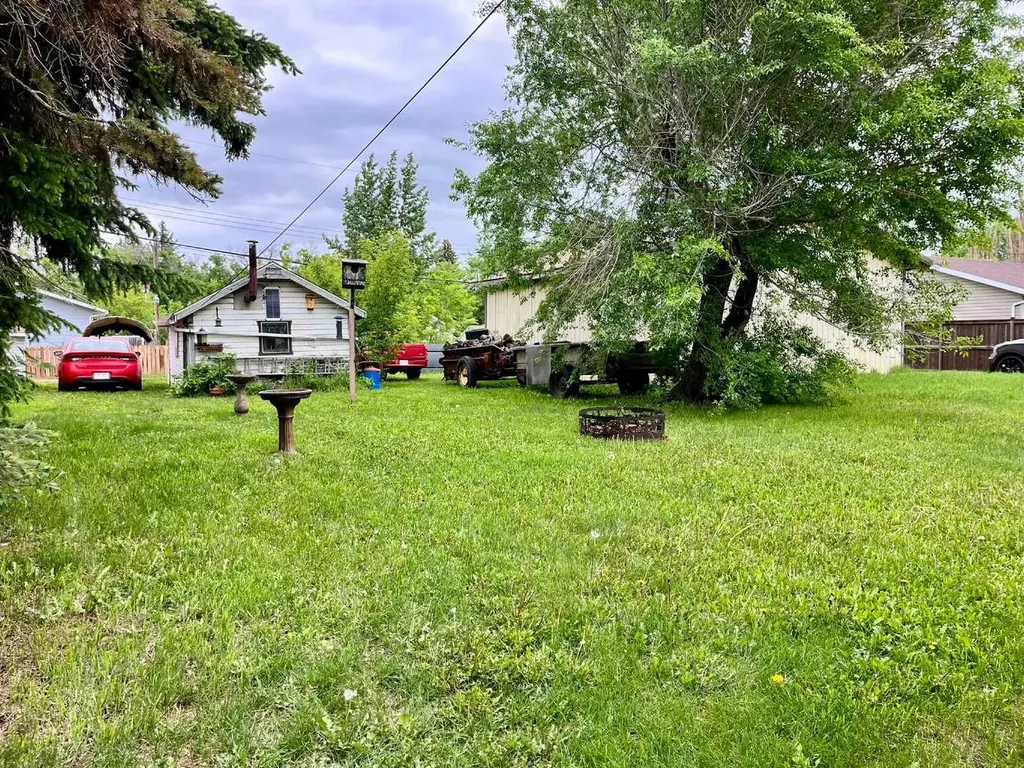 4836 51 Avenue Viking AB T0B 4N0