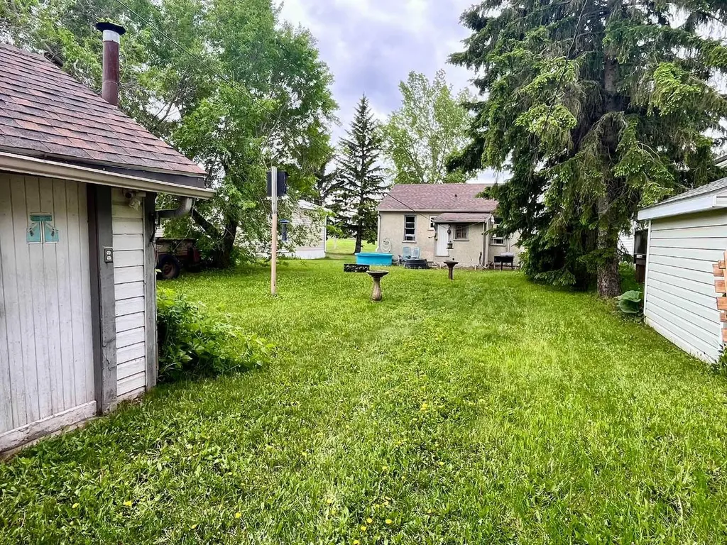 4836 51 Avenue Viking AB T0B 4N0