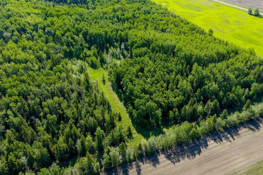 10504 794 Township Rural Saddle Hills County AB T0H 3G0