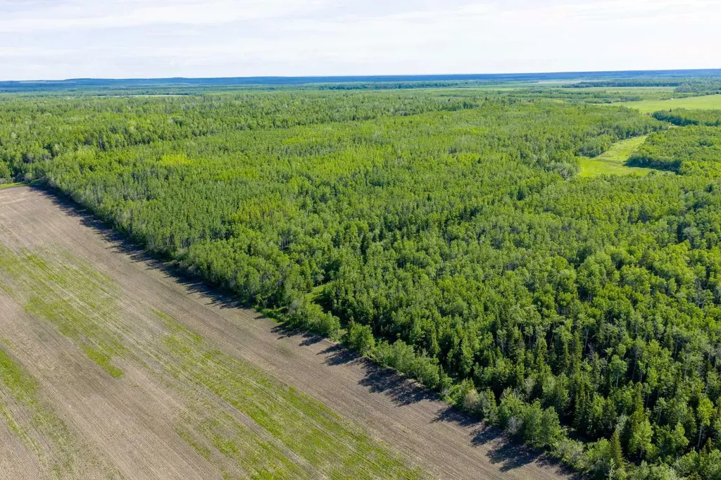 10504 794 Township Rural Saddle Hills County AB T0H 3G0