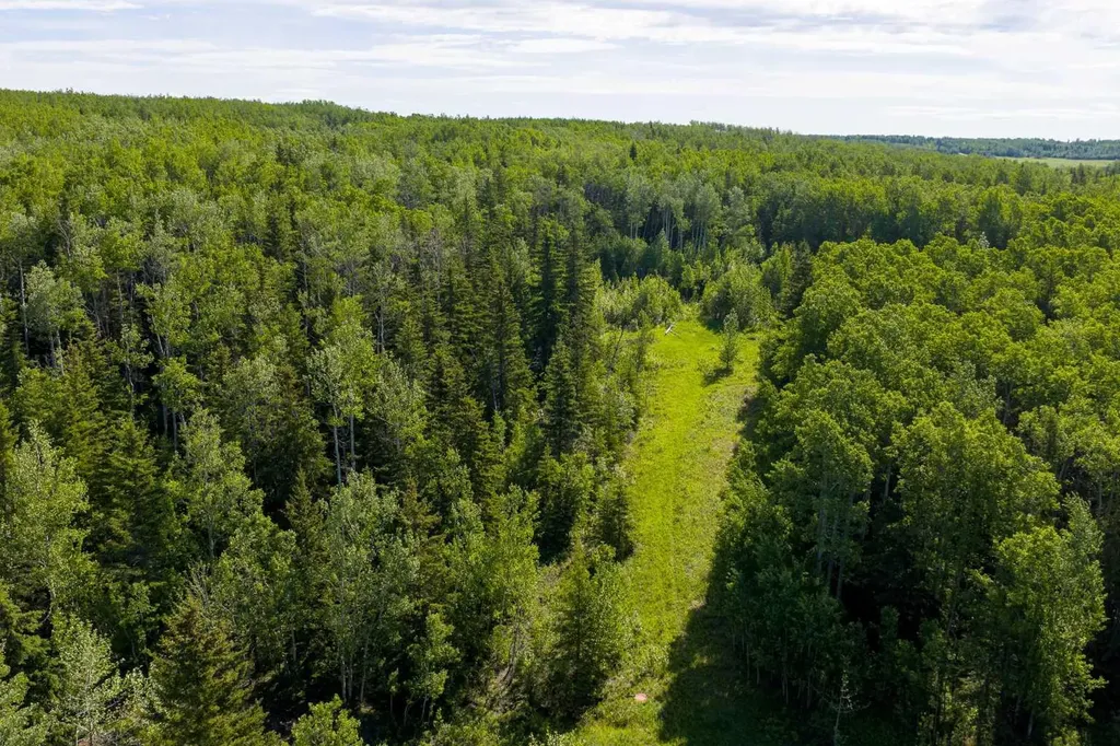 10504 794 Township Rural Saddle Hills County AB T0H 3G0