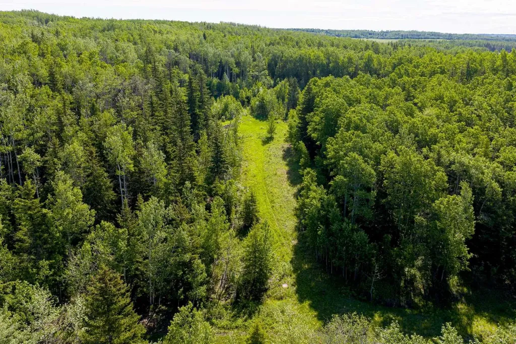 10504 794 Township Rural Saddle Hills County AB T0H 3G0