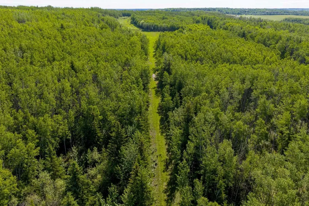 10504 794 Township Rural Saddle Hills County AB T0H 3G0