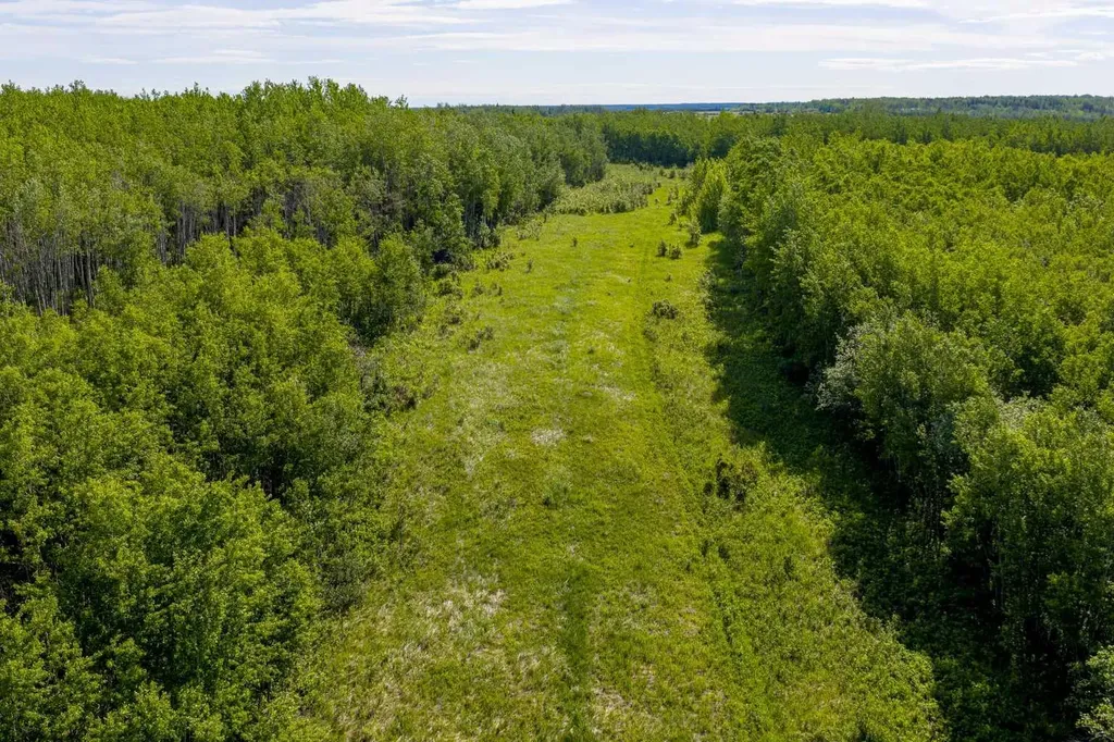 10504 794 Township Rural Saddle Hills County AB T0H 3G0