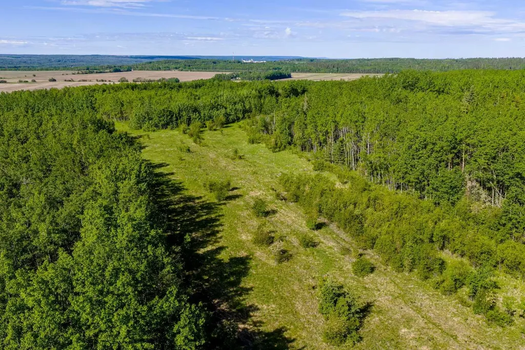 10504 794 Township Rural Saddle Hills County AB T0H 3G0