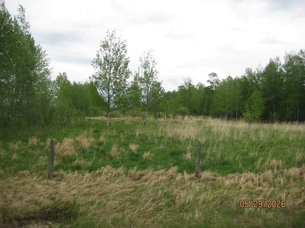 45-0 Township Road Rural Ponoka County AB T0C 0M0