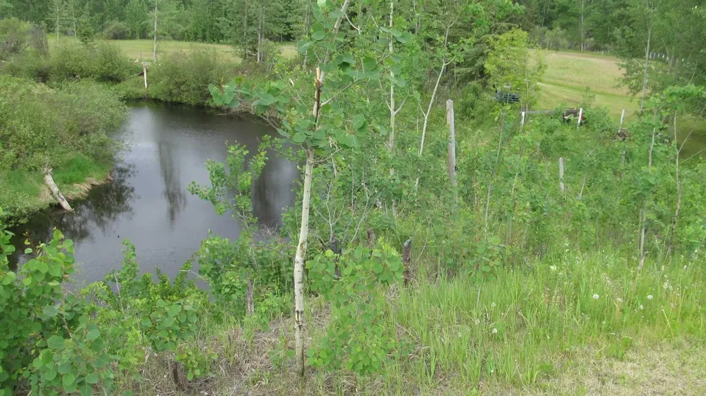725060 Highway 43 Beaverlodge AB T0H 0C0