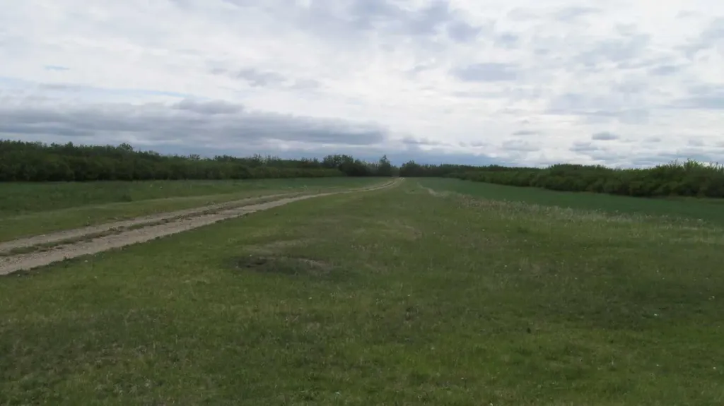 725060 Highway 43 Beaverlodge AB T0H 0C0