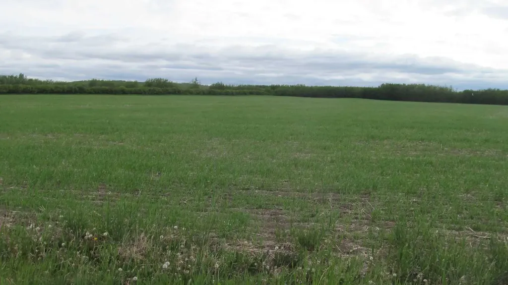 725060 Highway 43 Beaverlodge AB T0H 0C0
