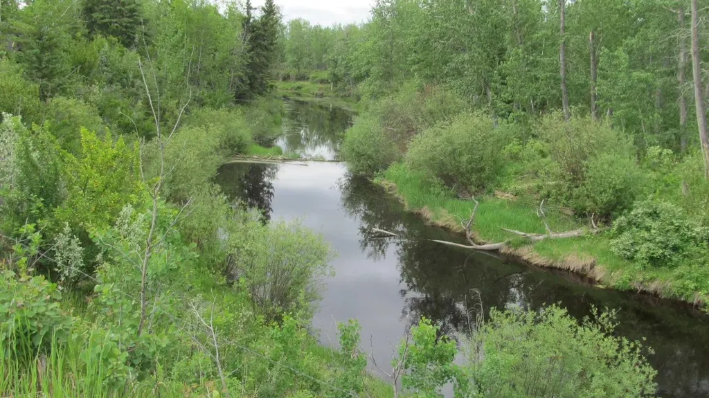 725060 Highway 43 Beaverlodge AB T0H 0C0