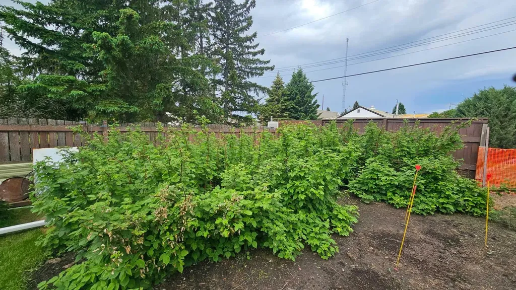 5016 49 Street Lougheed AB T0B2V0