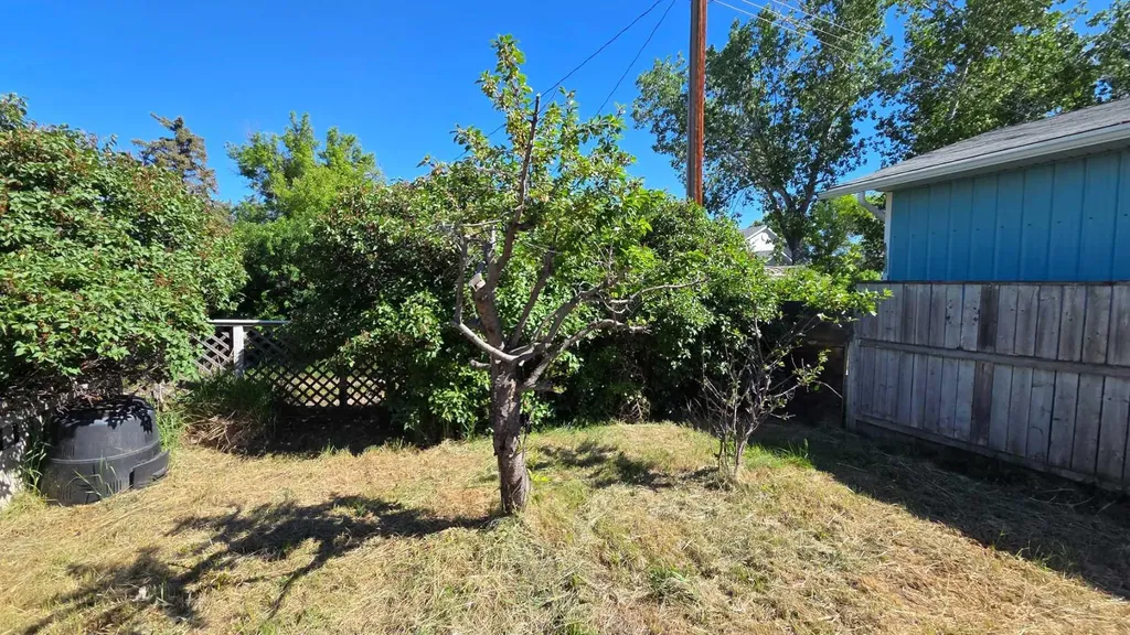 221 Truman Street Carmangay AB T0L 0N0