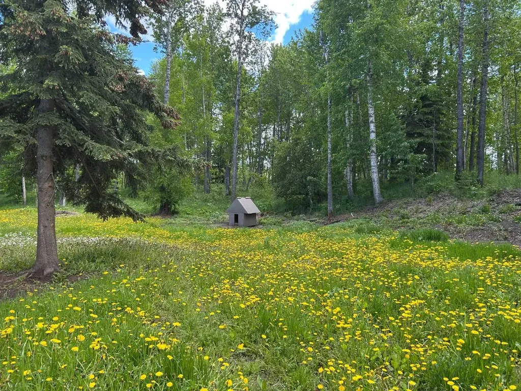 Lot 4 590059 Range Road 110 Rural Woodlands County AB T7S 1P7