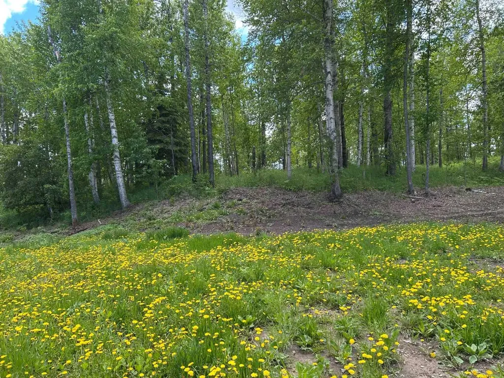 Lot 4 590059 Range Road 110 Rural Woodlands County AB T7S 1P7