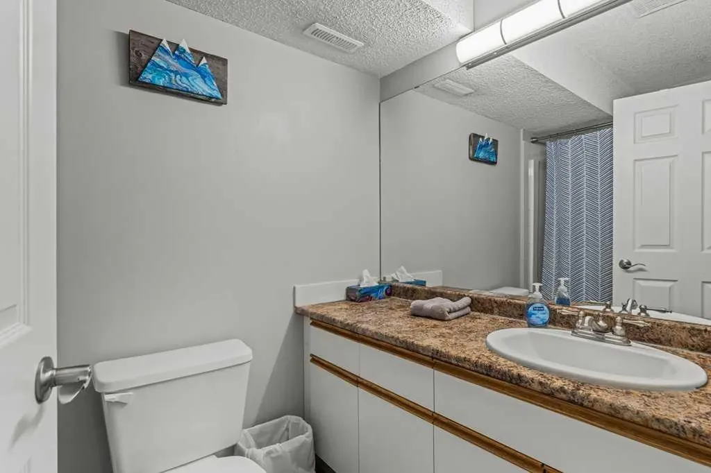 1206 Bow Valley Trail Canmore AB T1W1N6