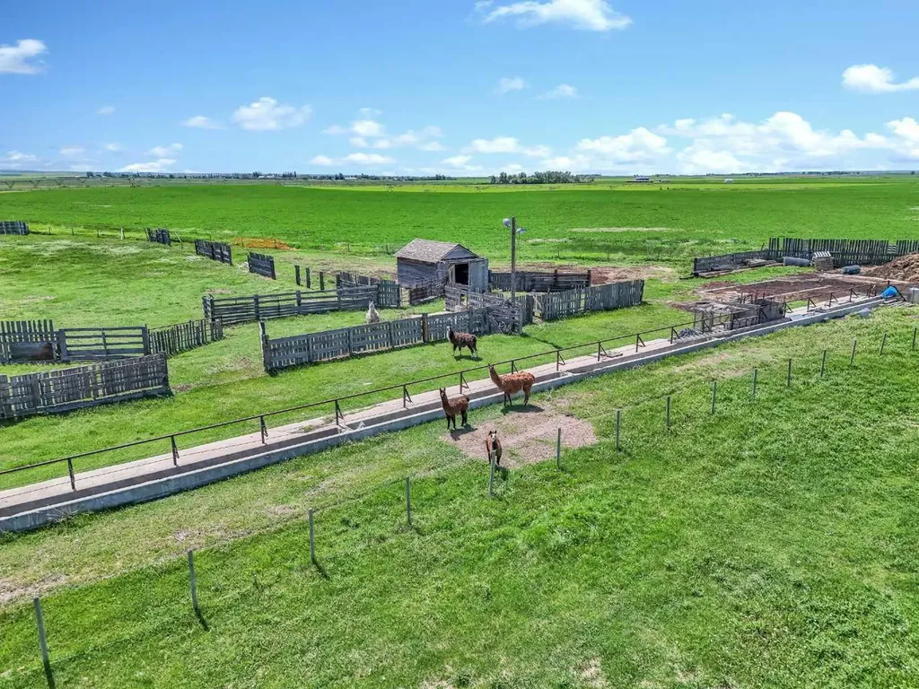 6317 Township Road 114 Rural Cypress County AB T1A 7H1