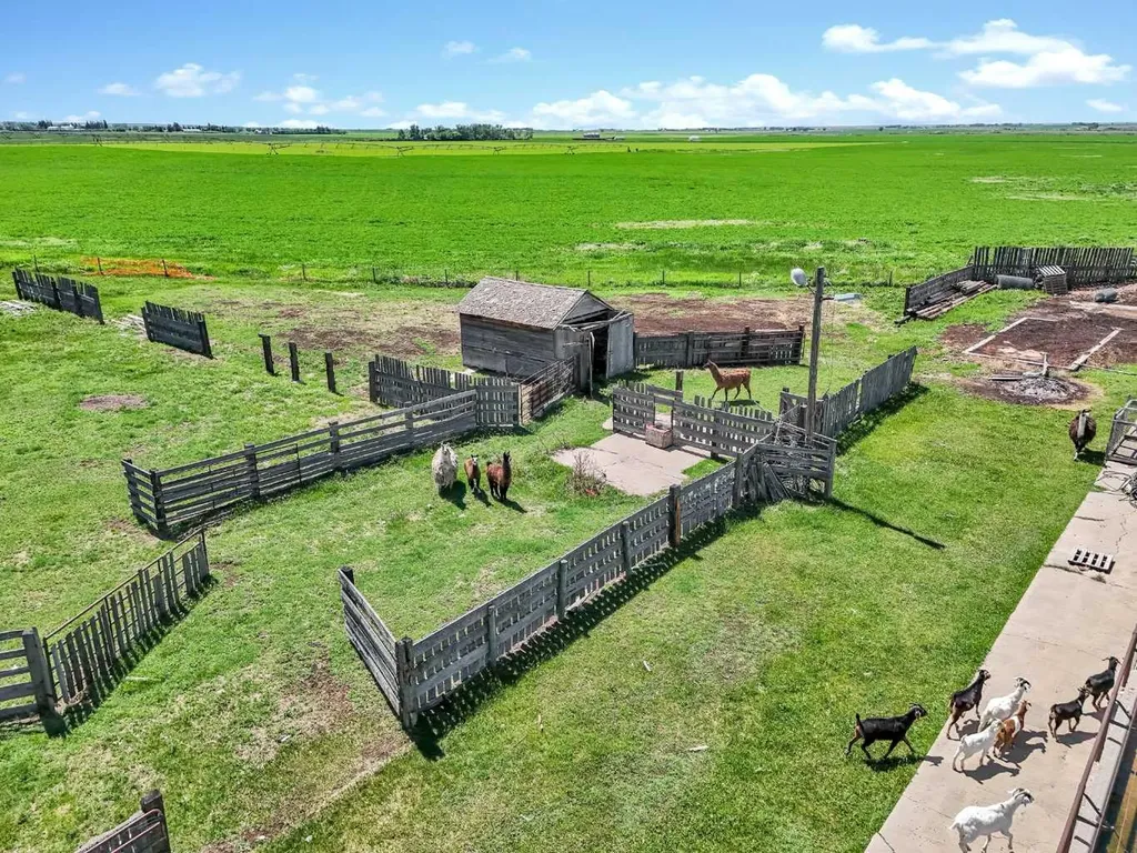 6317 Township Road 114 Rural Cypress County AB T1A 7H1