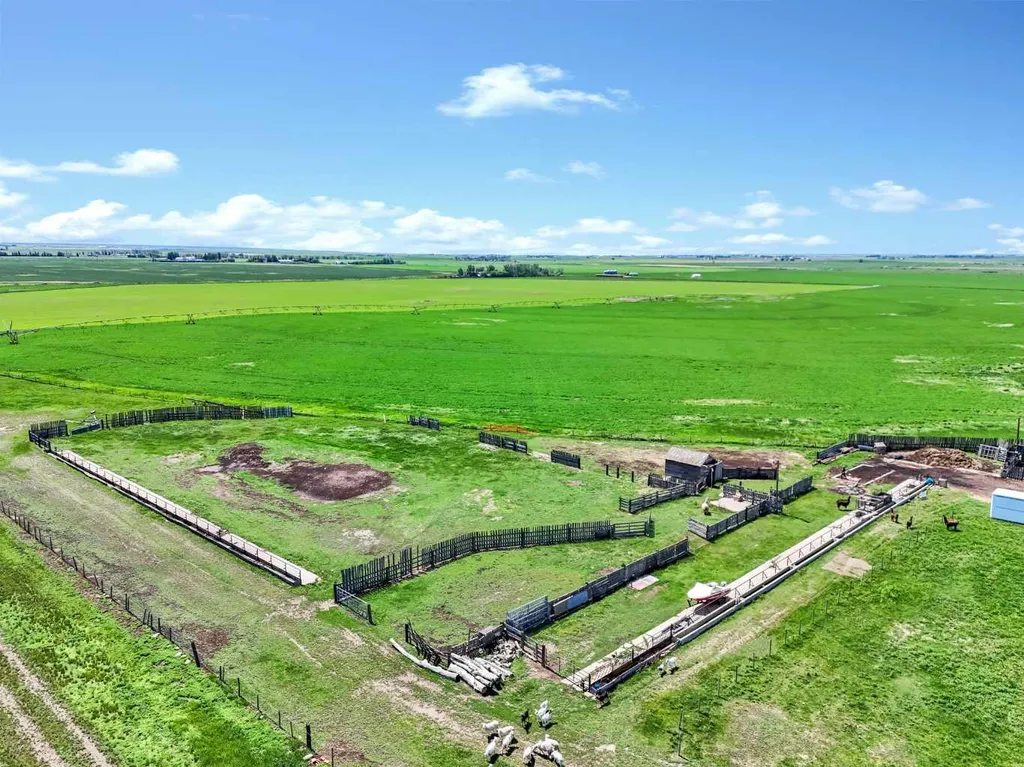 6317 Township Road 114 Rural Cypress County AB T1A 7H1