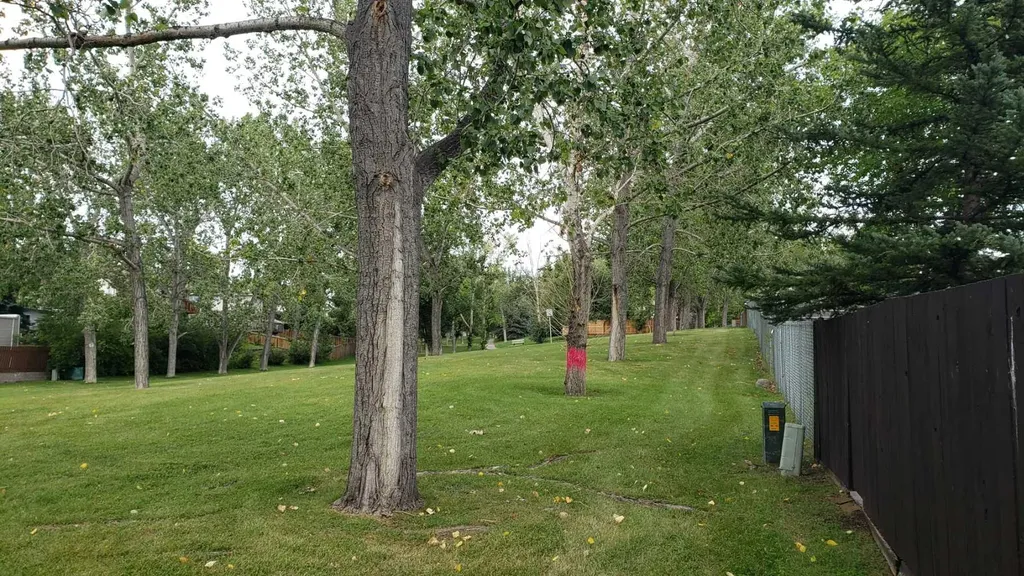 5801/ 5803 Dalgleish Road NW Calgary AB T3A 1K4