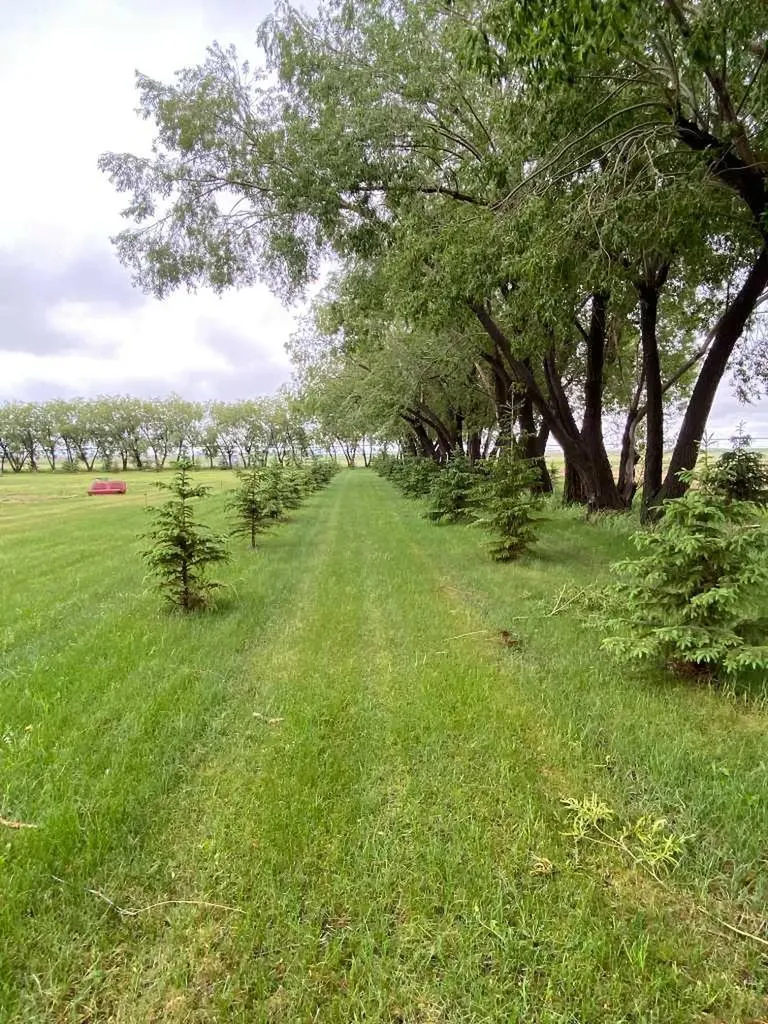 190080 140 Route Rural Newell County Of AB T1R 1B3