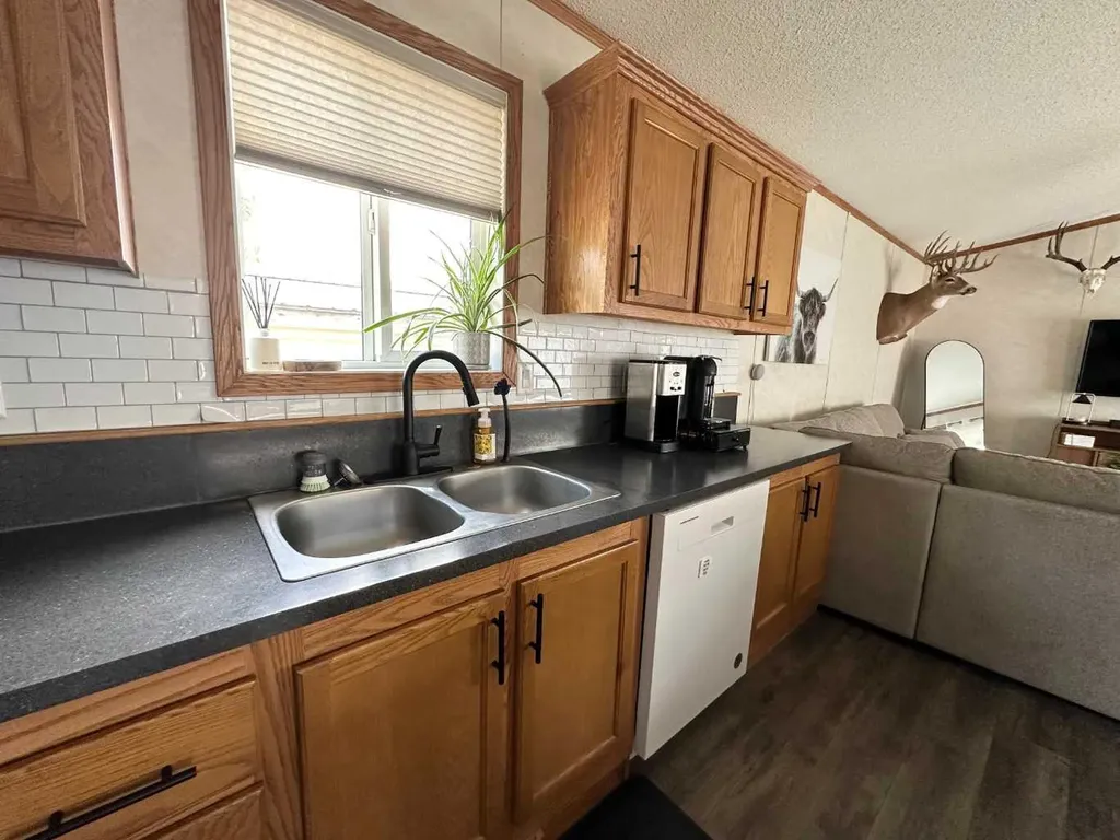4603 50 Street Vermilion AB T9X 1Y4