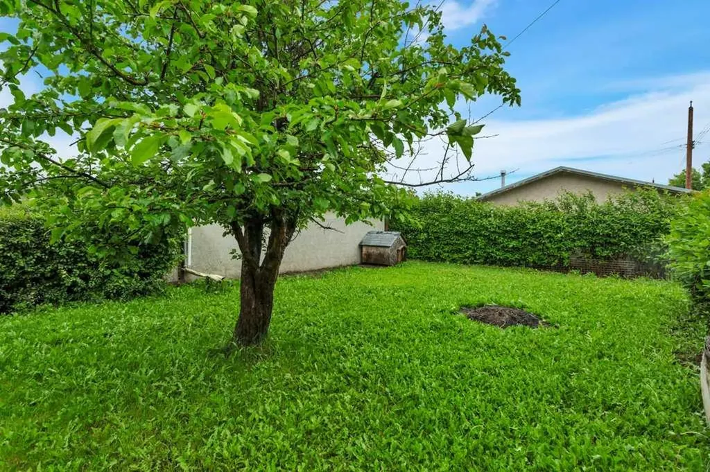 5203 56 Avenue Rimbey AB T0C 2J0