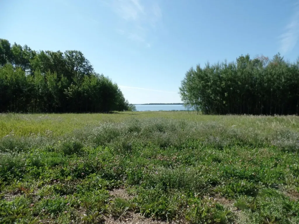 4 Islandview Road Lac La Biche AB T0A 2C1