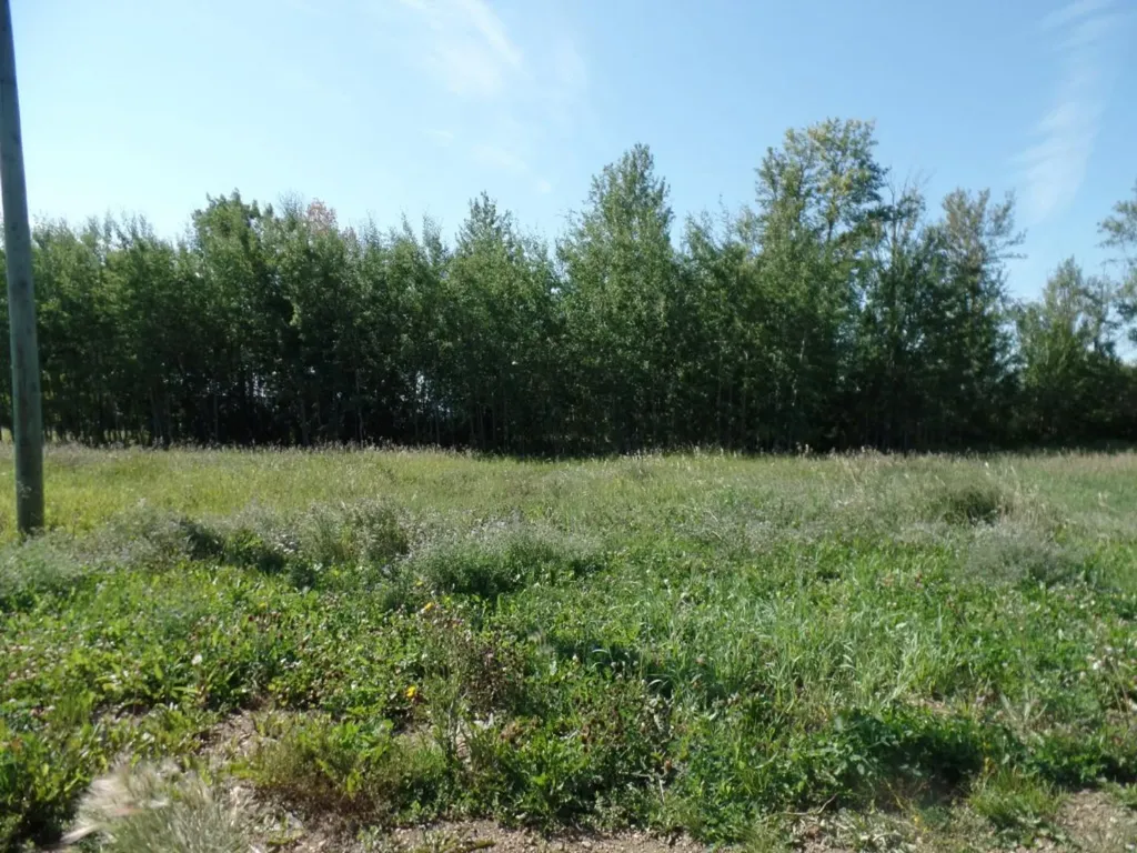 3 Islandview Road Lac La Biche AB T0A 2C1