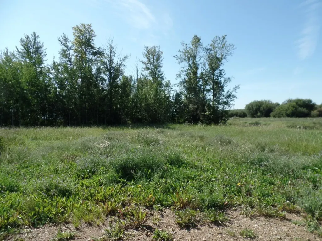 2 Islandview Road Lac La Biche AB T0A 2C1
