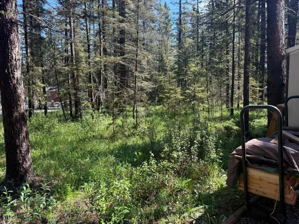 5230 27 Highway Rural Mountain View County AB T0M1X0