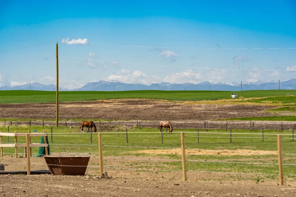 578099 83 Street E Rural Foothills County AB T1V 1R7