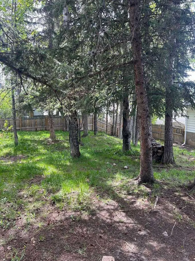 10629 104 Avenue Grande Cache AB T0E 0Y0