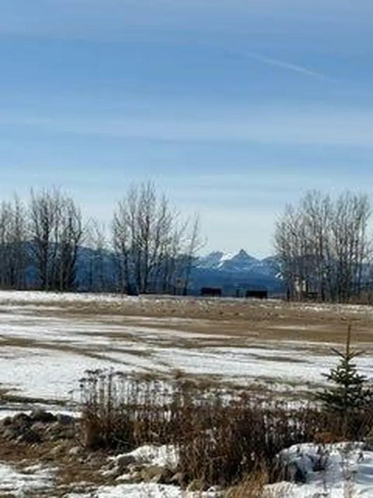 520 Royalite Way SE Diamond Valley AB T0L 2A0