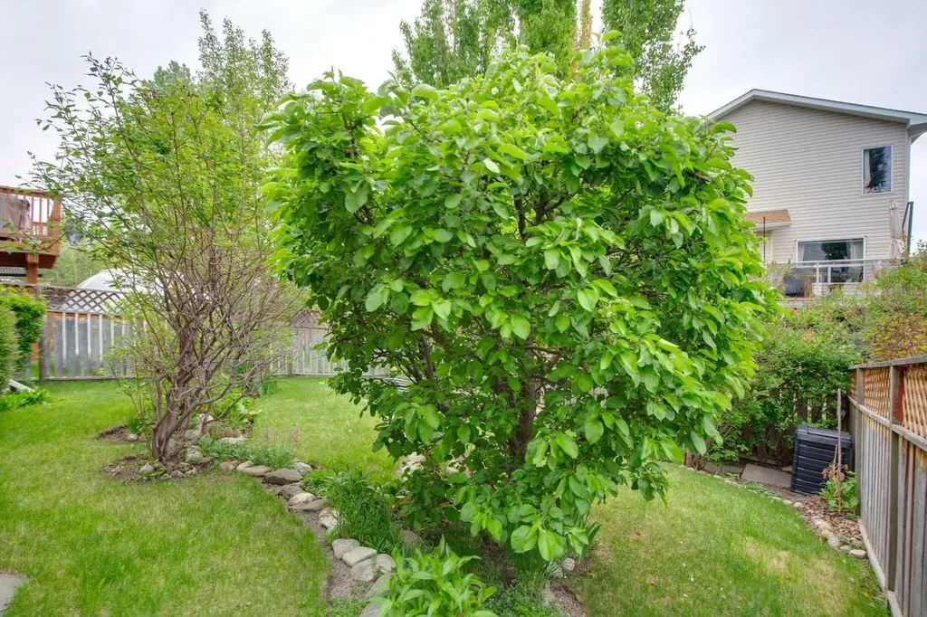23 Tuscarora Close NW Calgary AB T3L 2B7