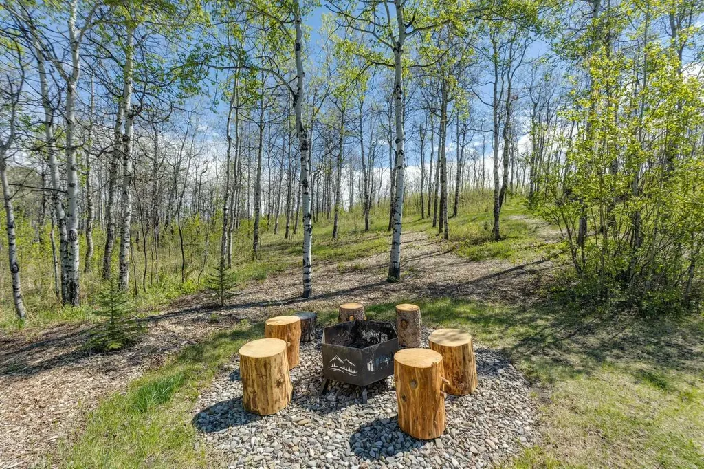 242026 White Post Lane W Rural Foothills County AB T1S3K3