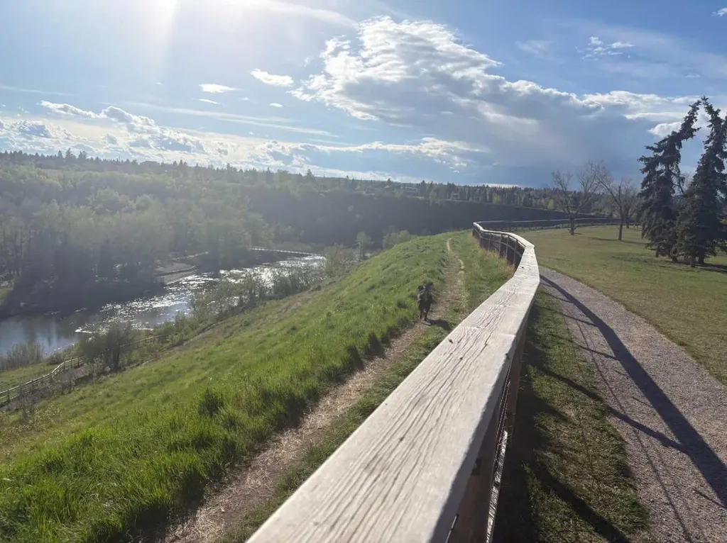 703 52 Avenue SW Calgary AB T2V 0B6