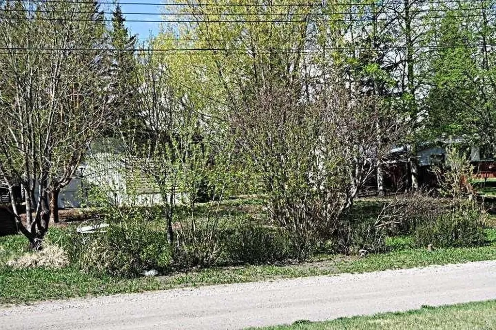 207 4 Street NW Sundre AB T0M 1X0